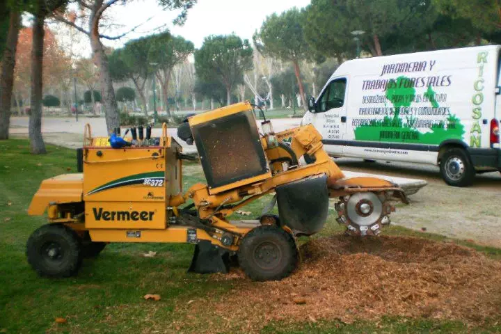 Servicios de destoconados de árboles y raíces en Madrid - Destoconados Ricosan - foto central quiénes somos
